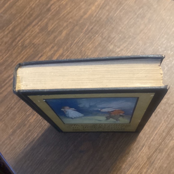 RARE 1901 Alice’s Adventures in Wonderland, Lewis Carroll, Illust. Peter Newell - Picture 11 of 11